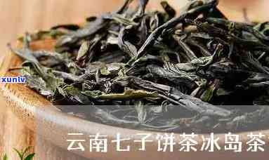 云南七子冰岛茶的介绍，探秘云南七子冰岛茶：一种独特的中国名茶