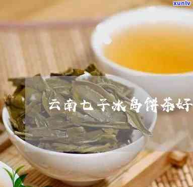 云南七子冰岛古树茶-云南七子冰岛古树茶多少钱一斤