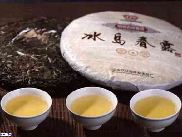 冰岛早春古树茶价格表：普洱茶、砖茶及春尖价格一览