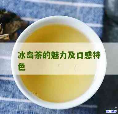 冰岛茶泡出来的颜色-冰岛茶泡出来的颜色是什么