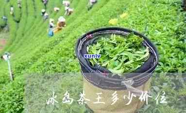 冰岛茶王在哪里生产-冰岛茶王在哪里生产的