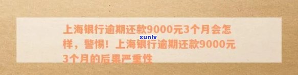 上海银行逾期贷款：逾期多久上、被起诉？逾期还款9000元3个月结果怎样？