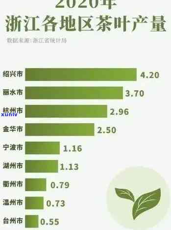 我国产量更高的茶是什么茶？探讨中国茶类产量排名与更大茶种