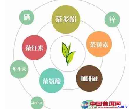 茶叶含什么微量元素-茶叶含什么微量元素最多