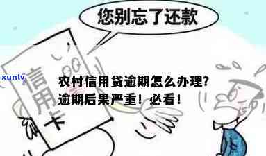 农村信贷款逾期怎么办理，如何处理农村信用贷款逾期问题？