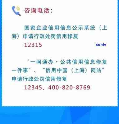 上海中心官网：查询、    及主页信息全攻略