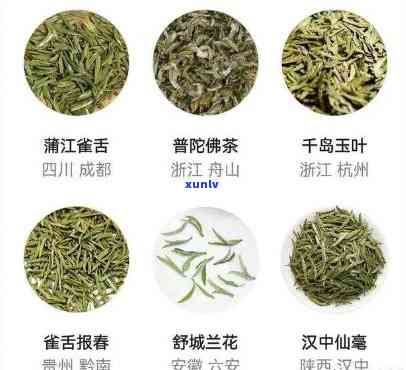 所有茶叶图片及名称，探索茶叶的世界：全面的茶叶图片和名称指南