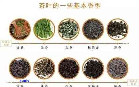 所有茶叶图片与品名，探索茶的世界：所有茶叶图片与品名全览