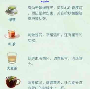 对身体有好处的茶叶排名：全面解析各类茶的健功效