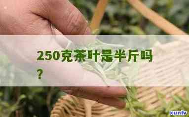 半斤茶叶是250克吗？解析重量单位与价格关系