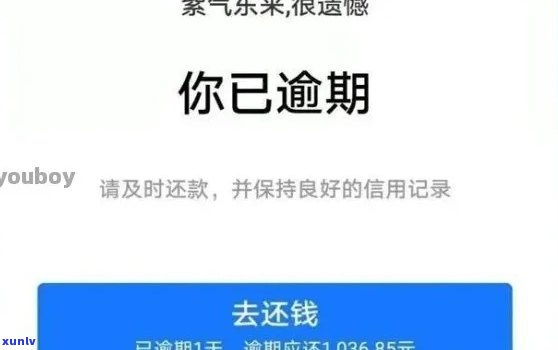 借呗逾期协商还款打什么  ？全流程解答与有效投诉方法