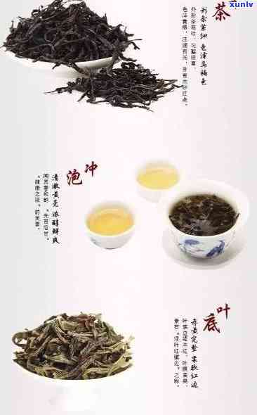 潮汕名茶 *** 原料揭秘：十大名茶全解析！