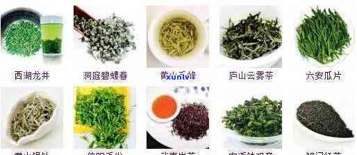 潮汕名茶 *** 原料揭秘：十大名茶全解析！