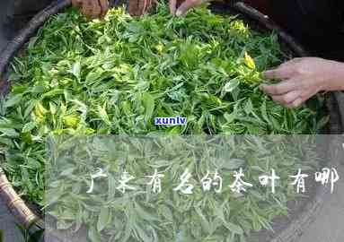 潮汕十大名茶的名字全览