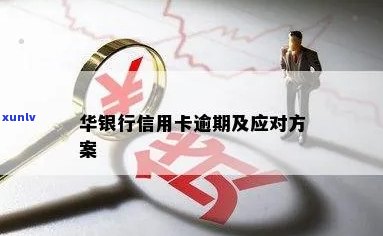 华银行关于客户逾期-华银行关于客户逾期的规定