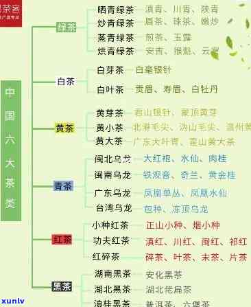 最有名的茶叶：种类、与产地全面解析