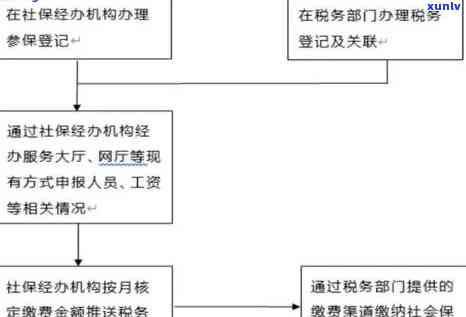 深圳个税逾期申报流程-深圳个税逾期申报流程图