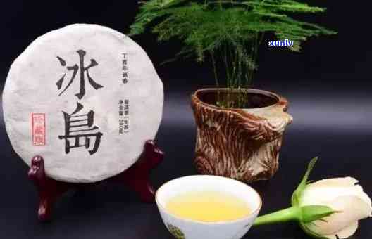 冰岛生茶的口感特点，探索冰岛生茶的独特口感特点