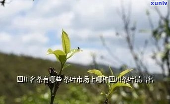 四川产什么茶叶最出名？探究四川著名茶叶品种与产地