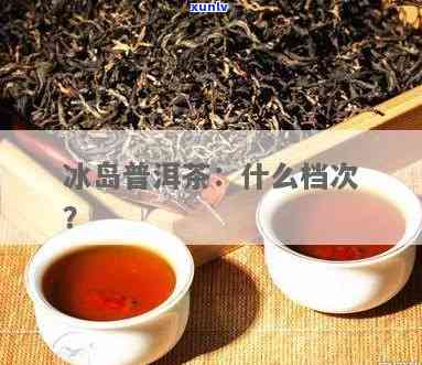 冰岛是什么档次的茶-冰岛是什么档次的茶叶