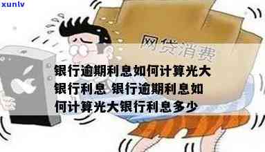 光大银行逾期利息计算-光大银行逾期利息计算 *** 