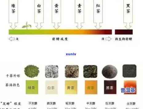 茶叶的器皿：种类、图片及名称全解析