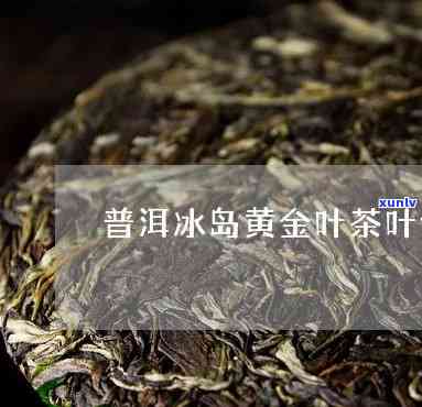 冰岛古树黄金叶熟茶-冰岛古树黄金叶普洱熟茶价格