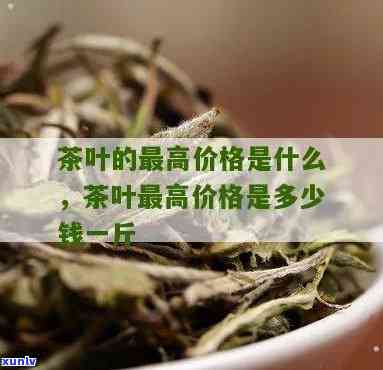 当前茶叶多少钱一斤-当前茶叶多少钱一斤价格