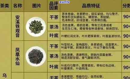 全面解析：茶叶如何辨别好坏？从技巧到步骤，一文看懂！