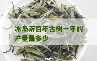 正宗冰岛茶每年产量-正宗冰岛茶每年产量多少