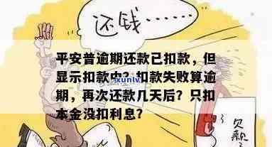 平安金所不想还了：贷款还不起怎样解决？还我血汗钱！放款是不是上？欠款7年成死账？退出P2P后资金怎么办？代偿结果是什么？