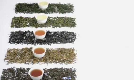 什么是好茶叶？详解优质茶叶的特点与判断标准