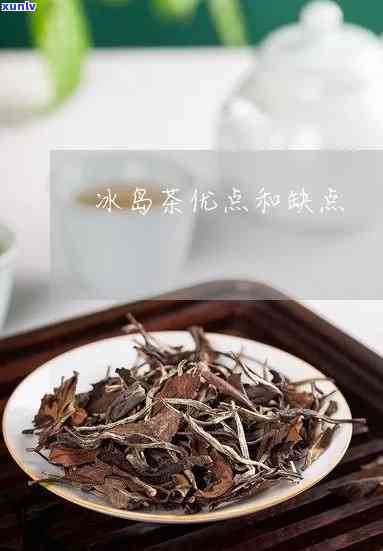 冰岛茶和贡眉哪个好-冰岛茶和贡眉哪个好喝