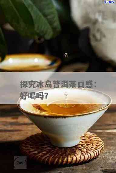 冰岛茶好不好喝，探索冰岛茶的魅力：你真的知道它有多好喝吗？