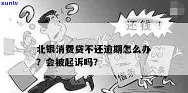 北银消费贷款好几年没还怎么还？逾期结果严重，公司运营正常