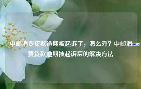 中邮消费逾期8个月了怎么办，急需解决：中邮消费贷款逾期8个月，我该怎么办？