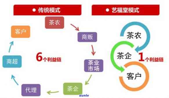 艺福堂茶业：所属档次、、实体店、PEST分析及价格介绍