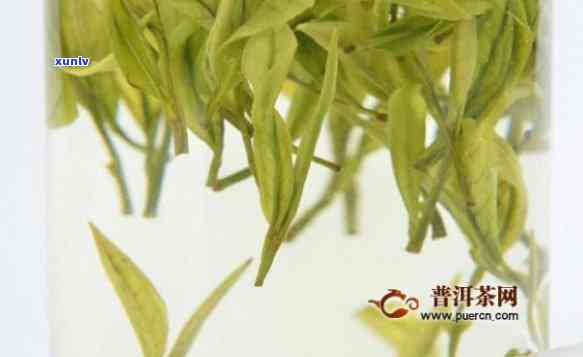 都翠茗绿茶价格全面解析：产地、品质、包装等影响因素