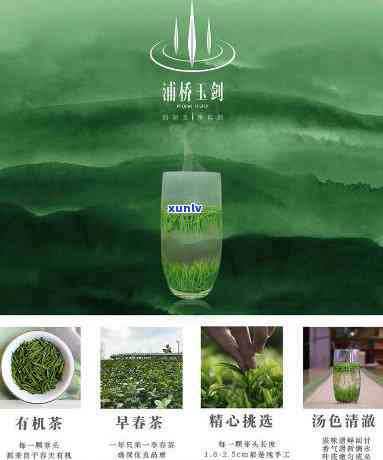 浦桥玉剑茶多少钱，浦桥玉剑茶价格查询，你想知道的都在这里！