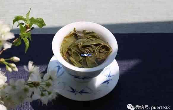 印象茶叶，探索之美：品味印象茶叶的独特魅力