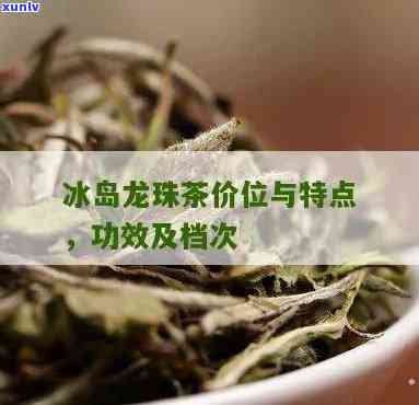 冰岛龙珠茶口感和特点，探索冰岛龙珠茶的独特口感与特点