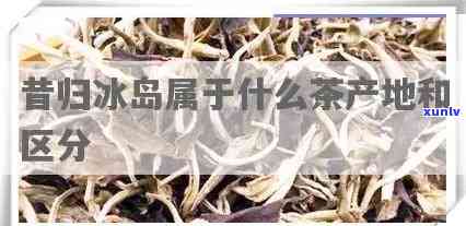 昔归和冰岛茶产地在哪里，探秘名茶产地：昔归与冰岛茶的发源地