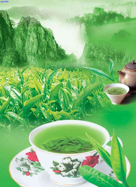 各种茶叶的形状图片及名称，探索茶的世界：各种茶叶的形状图片及名称全览