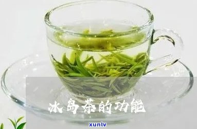 冰岛茶用什么矿泉水-冰岛茶用什么矿泉水