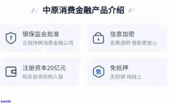 中原消费逾期多久会被起诉，中原消费逾期多长时间将面临被起诉的风险？