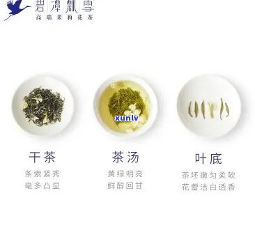 碧潭飘雪茶叶价格表-碧潭飘雪茶多少钱一斤