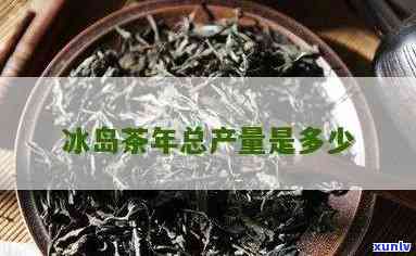 冰岛母树茶的年产量-冰岛母树茶的年产量是多少