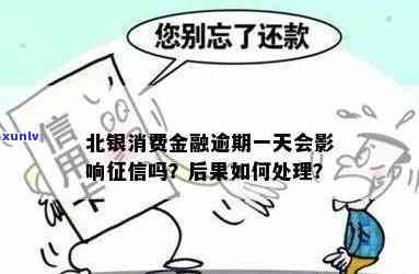 北银消费贷款逾期一天上吗，北银消费贷款：逾期一天是不是会上？