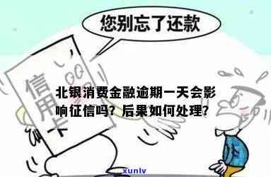 北银消费贷款逾期一天上吗，北银消费贷款：逾期一天是不是会上？