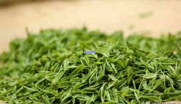 天目青顶茶多少钱一斤？最新茶叶价格表全览